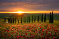 DREAMLAND
