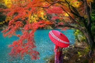 JAPAN FALL WORKSHOP