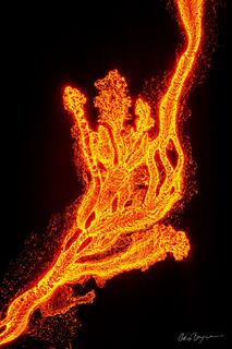 Molten lava flows over the dark volcanic rock at night mimicking the branches of a tree.