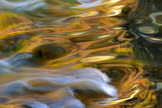 Ghost in the Water.14x24