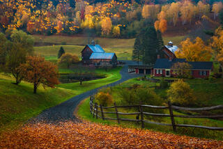 Autumn, Fall, Foilage, Leaves, Vermont
