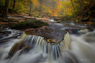 The river winds through a forest and cascades over rocks with fall colored leaves on the trees that surround the riverbank and lie on the riverbed edges.