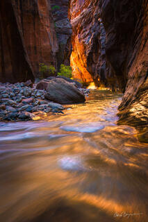 CANYON EMBER (VERTICAL)