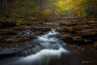 A river cascades over the rocks in the forest with red and yellow leaves on the rocks near the riverbank and yellow leaves still hanging on the trees.