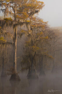 TALL TALES