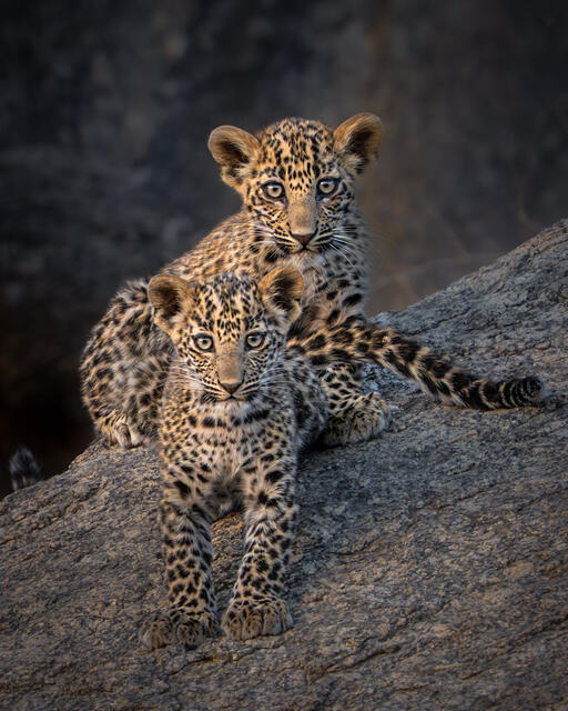 SO MUCH TO LEARN
