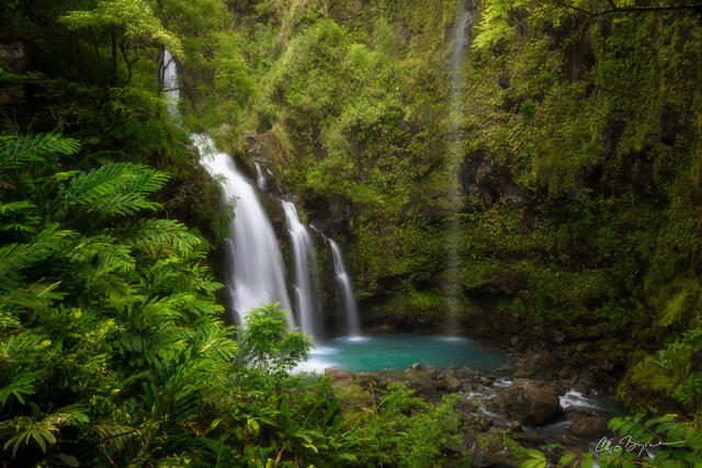 ALLURING WATERS