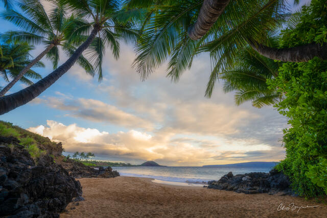 PALM CAVE