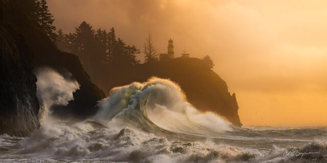 POSEIDON AWAKES (PANORAMA)