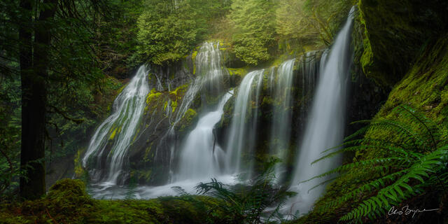 NOURISH THE SOUL (PANORAMA)