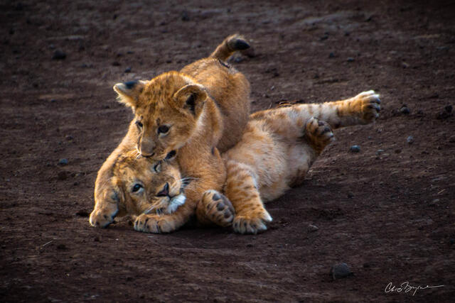 Pinned