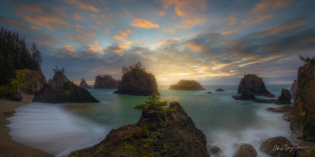 Sea stacks along the Oregon coast at sunset with green spruce trees on top of the sea stacks while the aqua water calmly comes in to shore. 