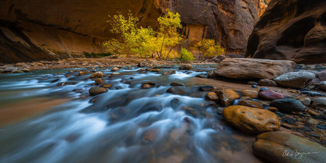 NARROWS RUSH (PANORAMA)