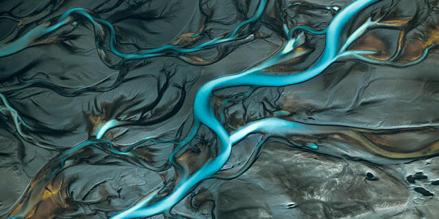 BLUE RIBBONS (PANORAMA)