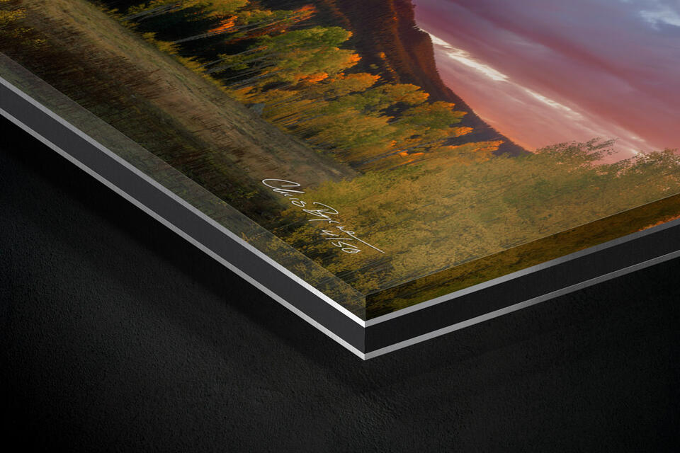 print preview