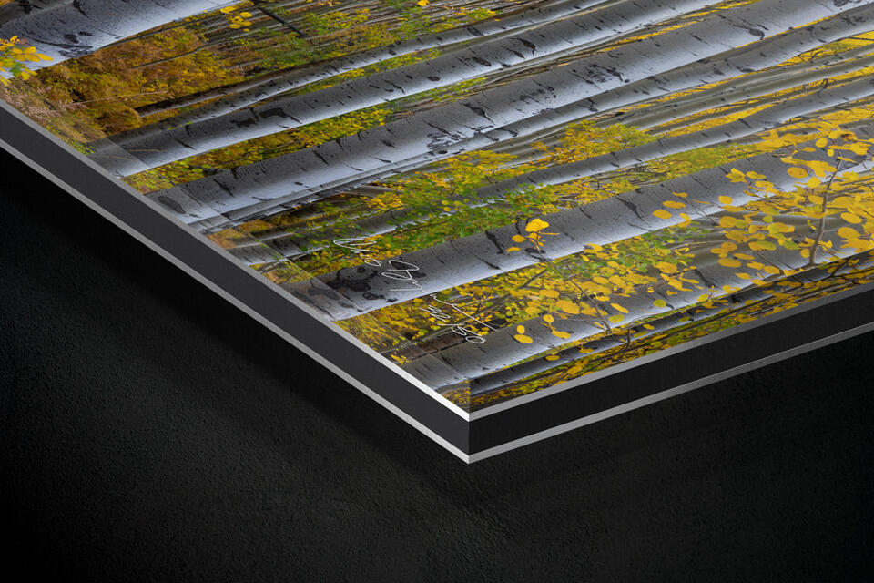 print preview