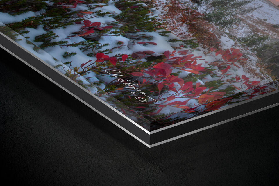 print preview