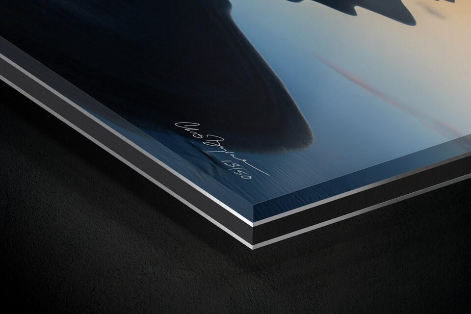  print preview
