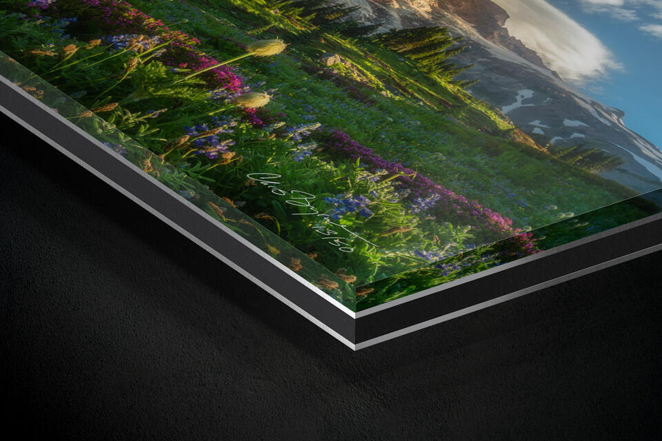 print preview