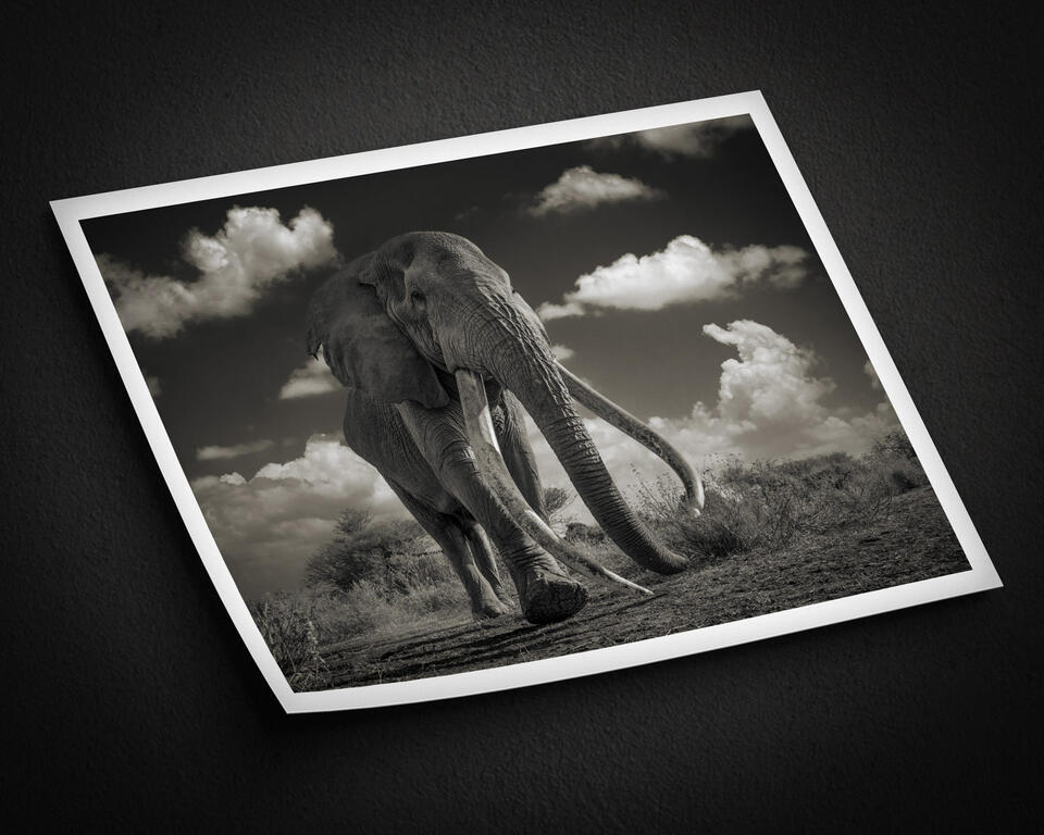 print preview