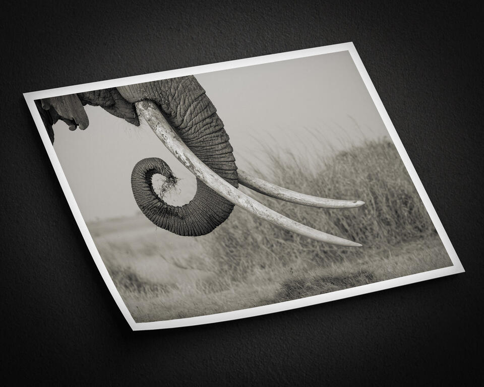 print preview