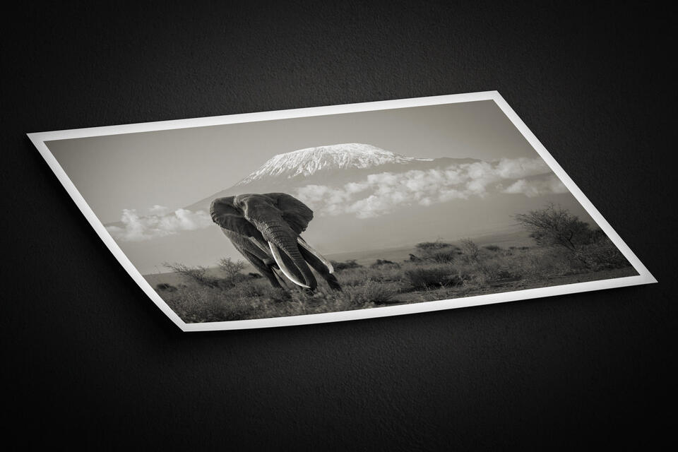 print preview