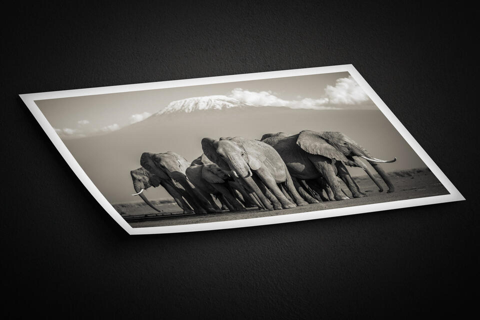 print preview