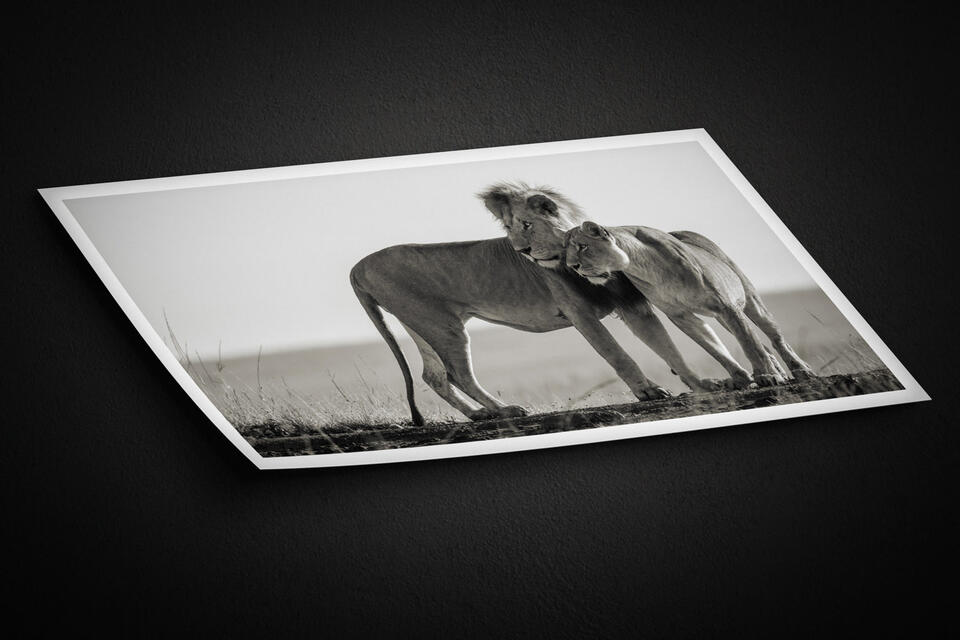 print preview