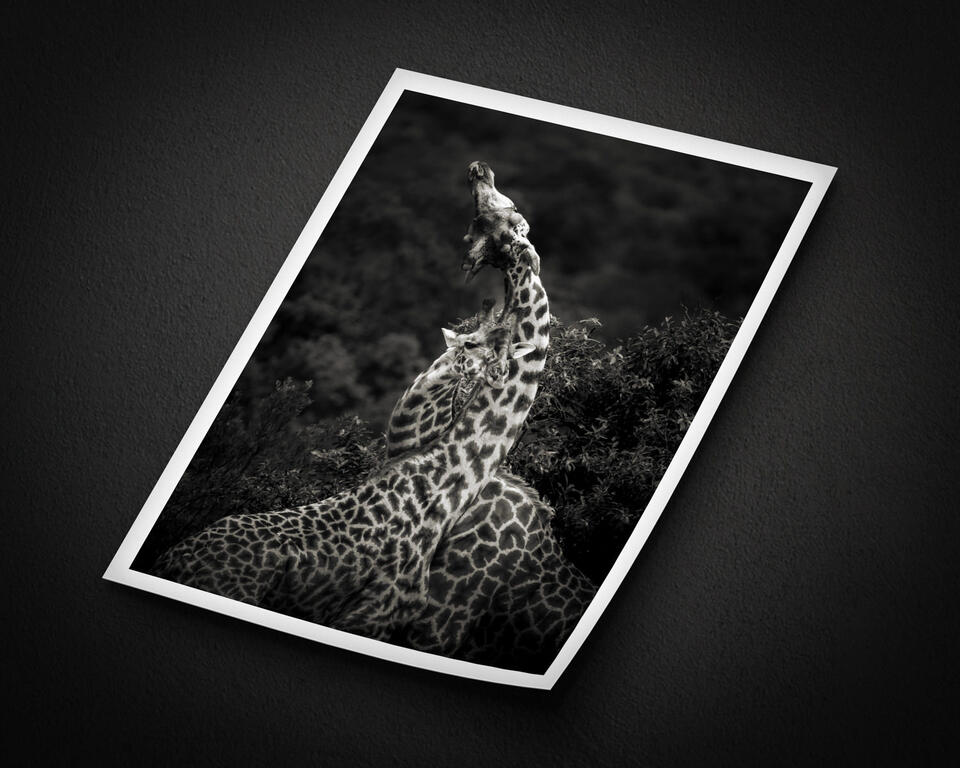  print preview