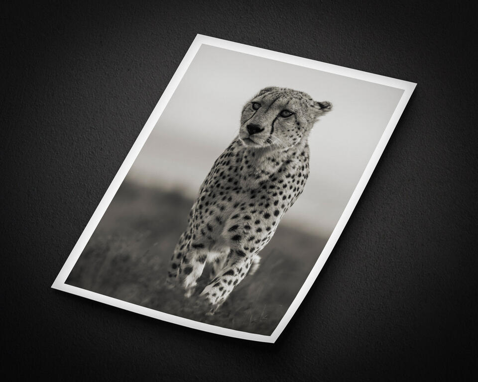  print preview