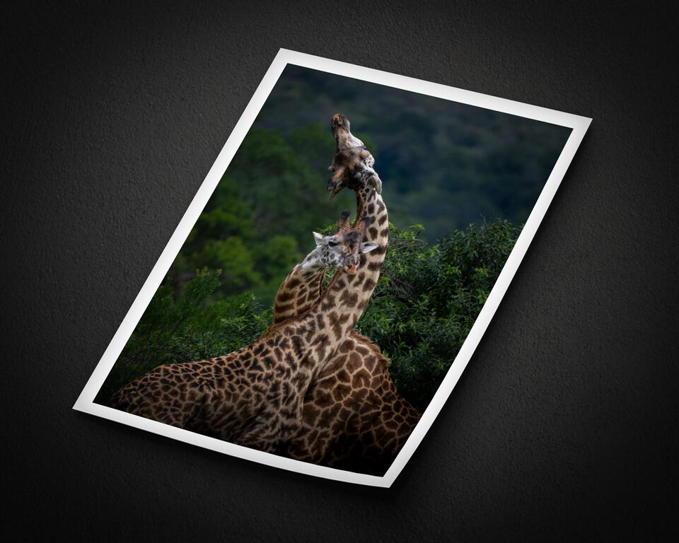  print preview