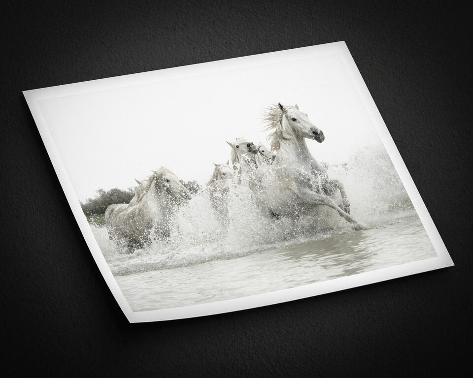 print preview
