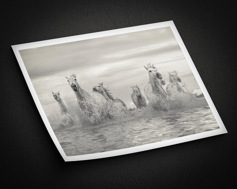 print preview