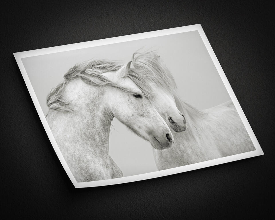 print preview