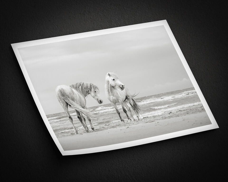 print preview
