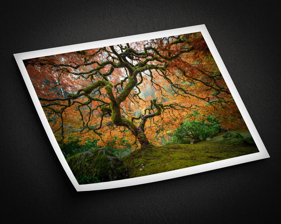  print preview