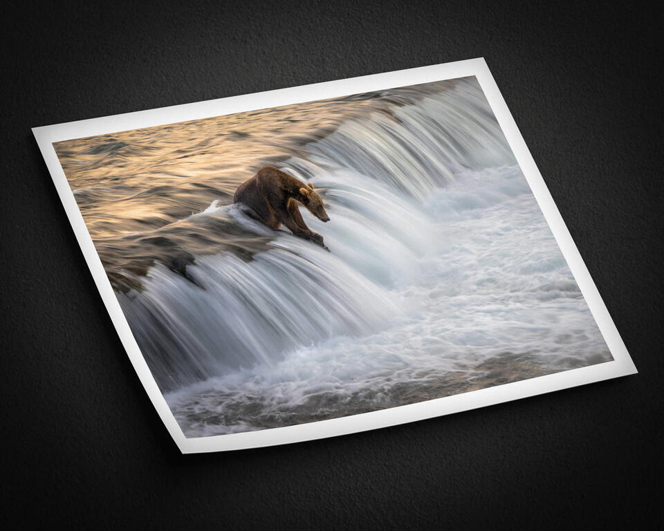 print preview