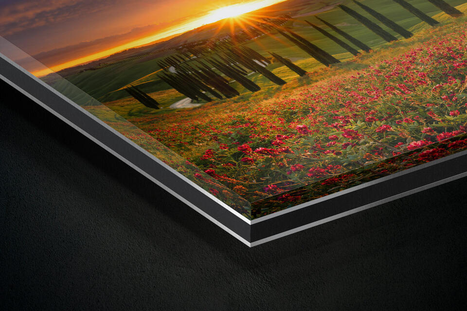 print preview