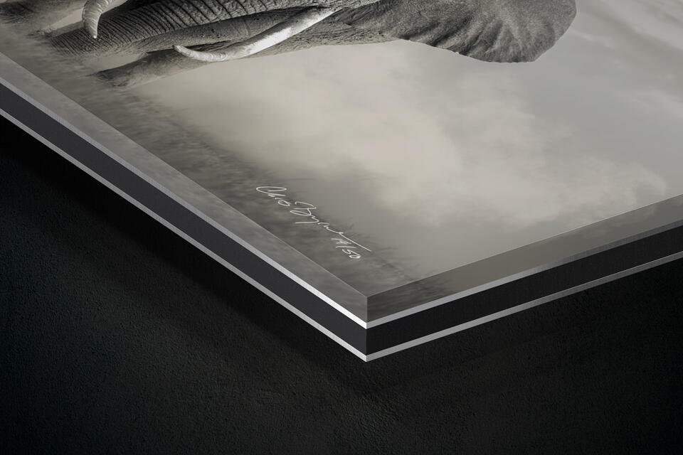 print preview