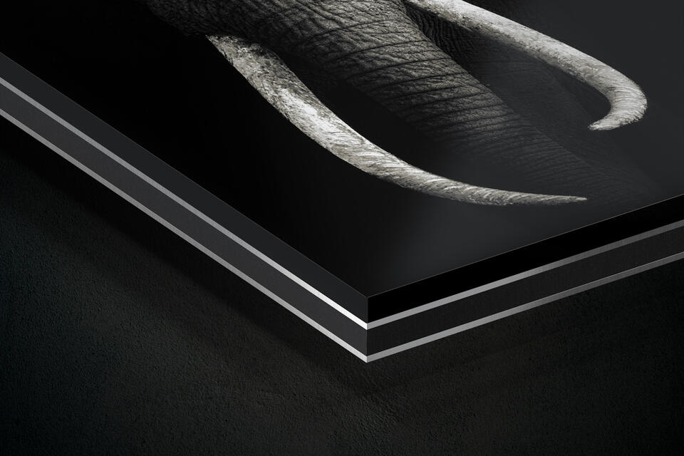 print preview