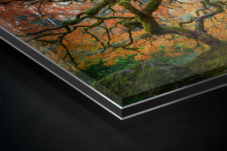  print preview