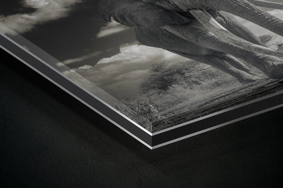 print preview