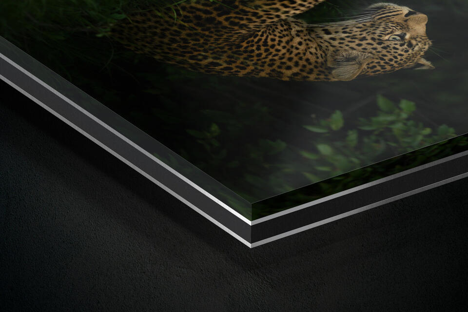 print preview