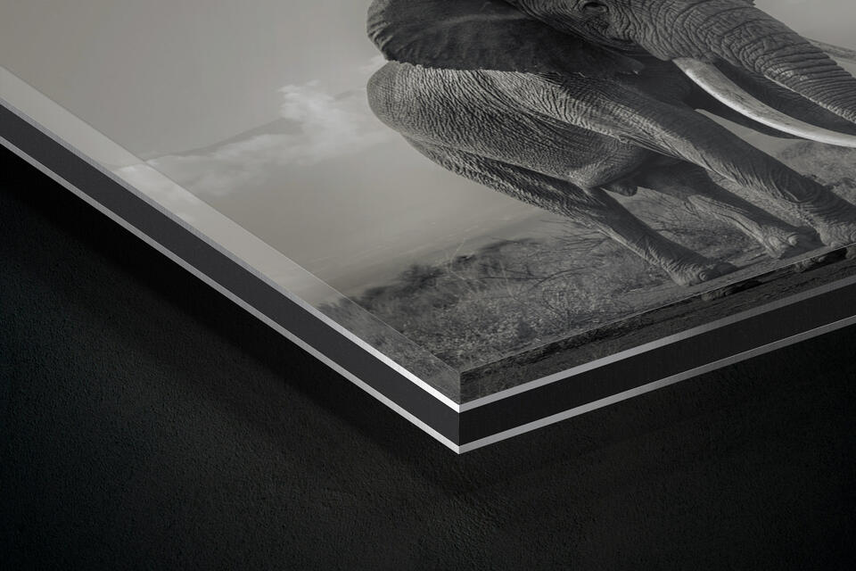 print preview