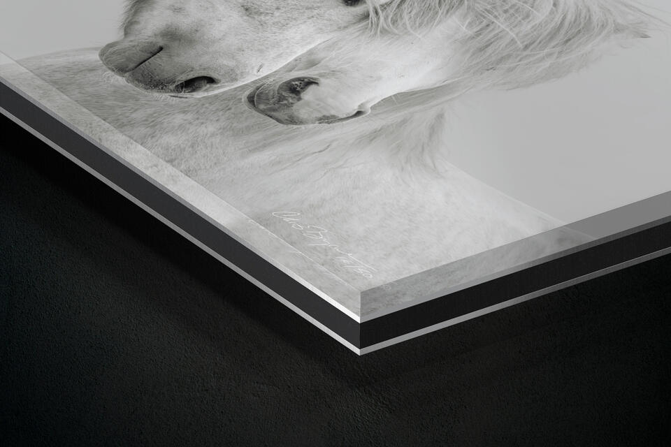 print preview