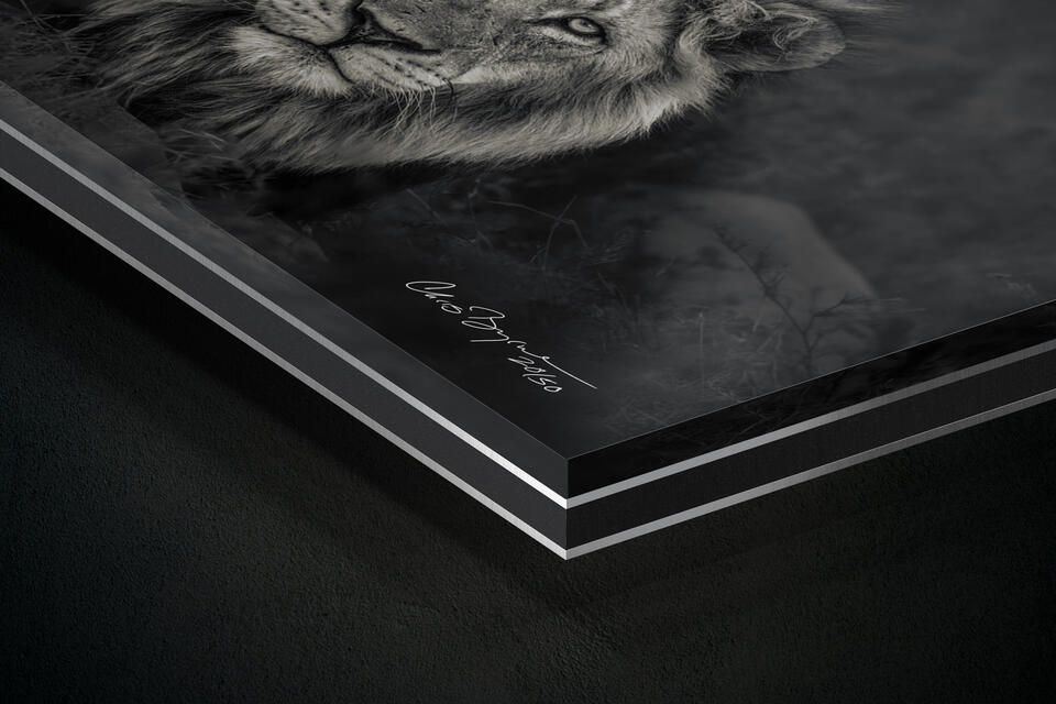 print preview