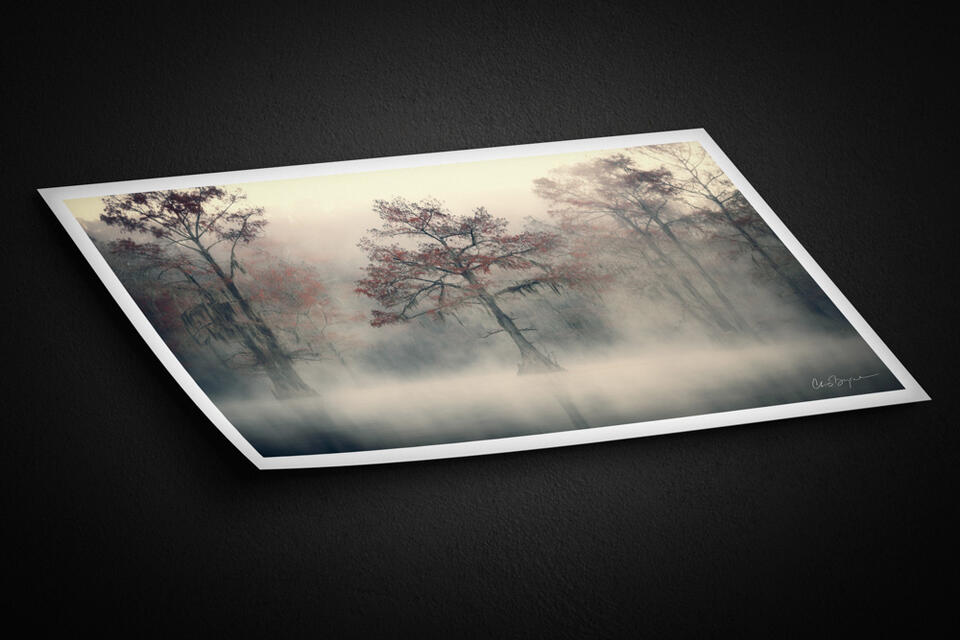  print preview