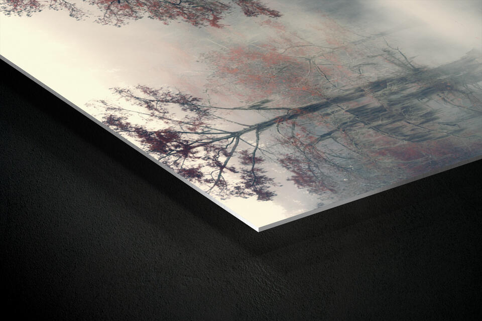  print preview