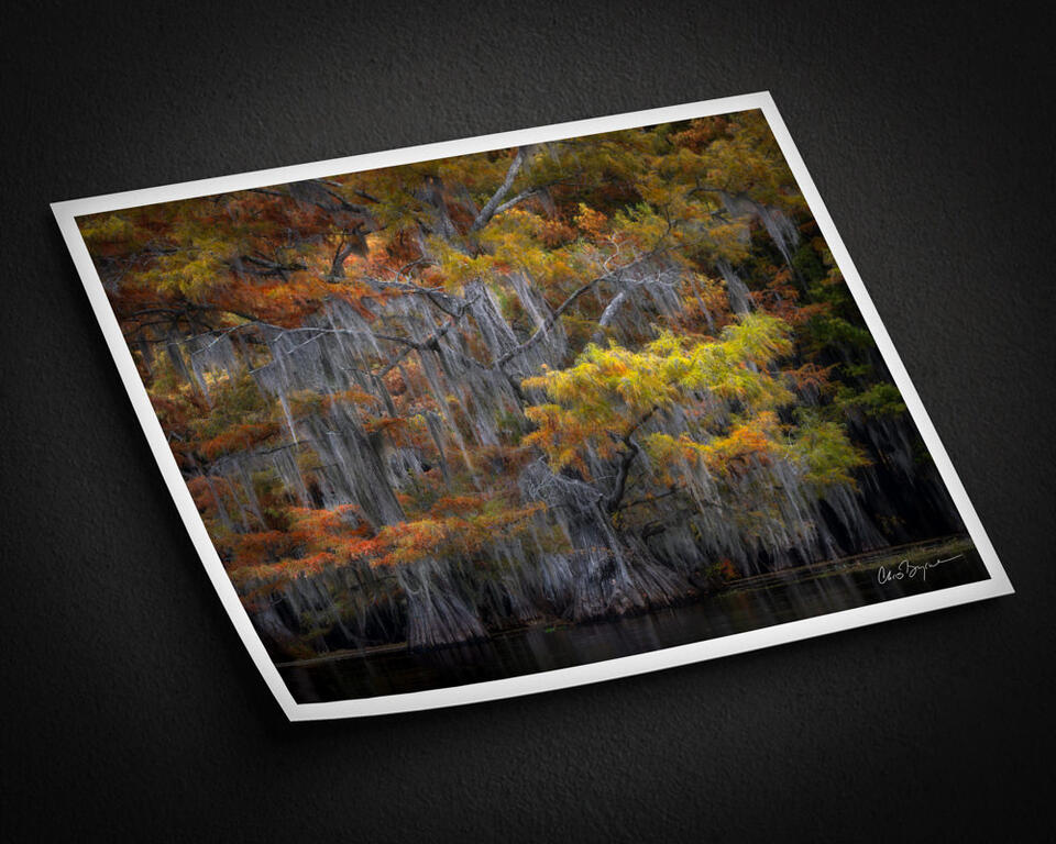  print preview