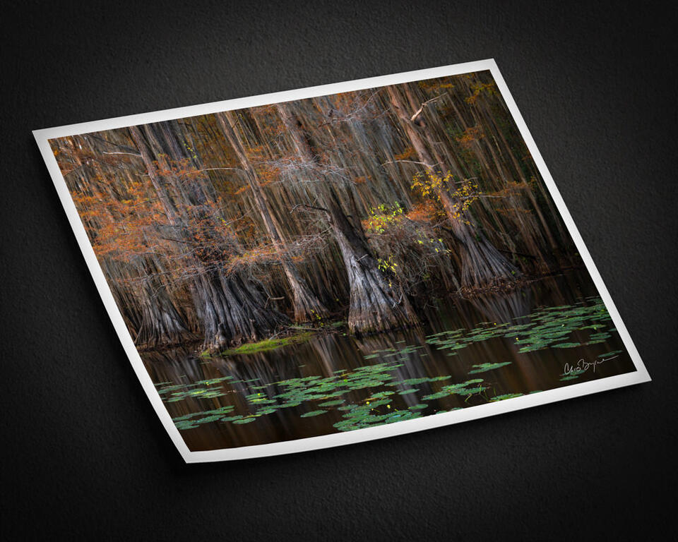  print preview